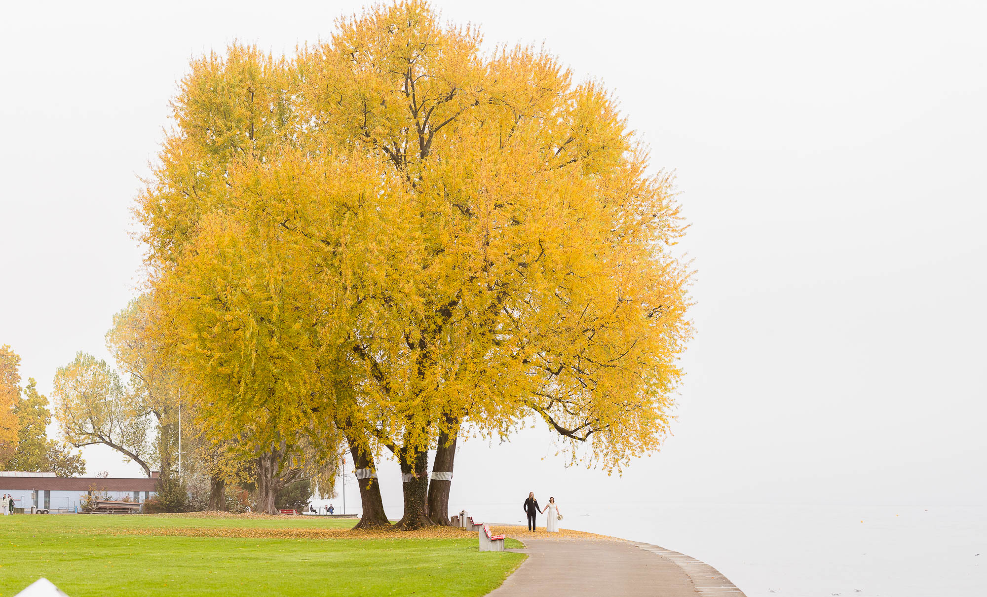 Export x3 1DX29340 Pano Hochzeit 2020 Monika & Sharru 4